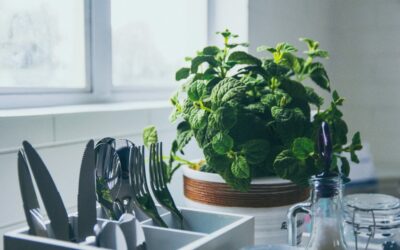 How To Create An Eco-friendly Kitchen