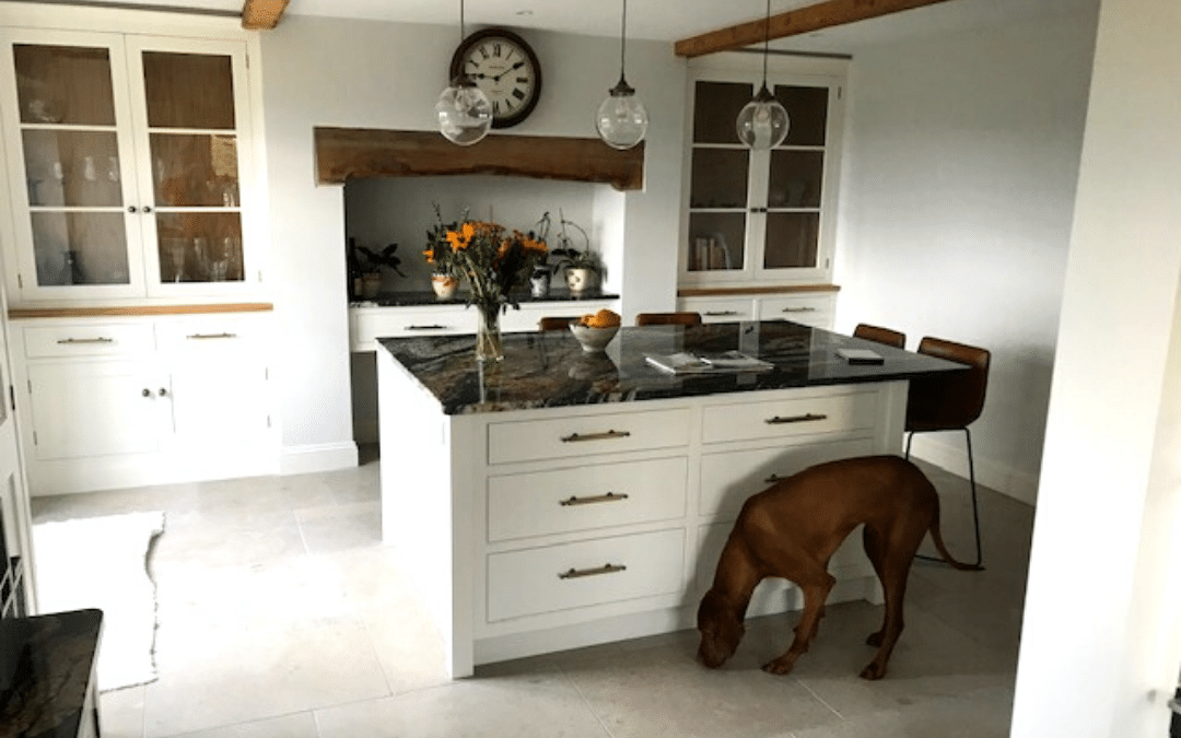 quartzite kitchen island with dog